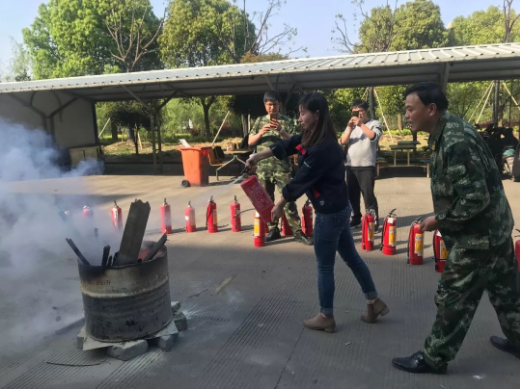 1554884107989973PPZ8.png image.png