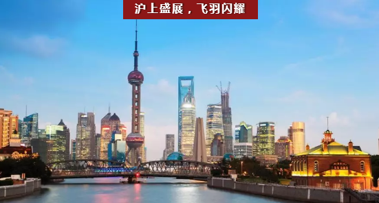 15595415032023318wEm.png image.png